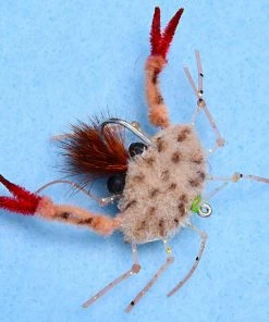 Enrico Puglisi Palometa Crab (3-Pack)