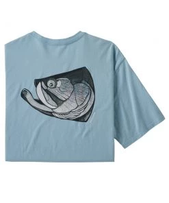 Patagonia Men'S Fish Noggins Organic Tee Clothing