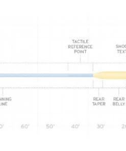 Scientific Anglers Amplitude Big Water Taper Fly Line Lines