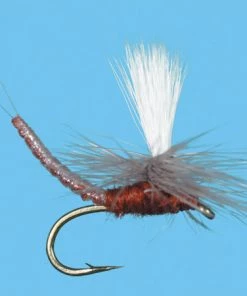 Solitude Mahogany Parachute Ext Body (Pd167ex ) 6-Pack Flies