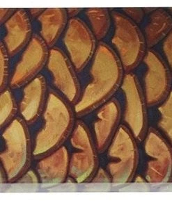 Deyoung Iphone 5/5s Case - Vibe Accessories 21 Deyoung Iphone 5/5s Case - Vibe Accessories