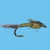 Solitude Pandemic May Bwo Nymph (N097ol) 6-Pack Flies
