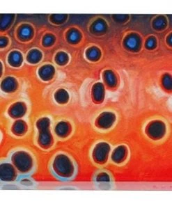 Deyoung Iphone 5/5s Case - Vibe Accessories 22 Deyoung Iphone 5/5s Case - Vibe Accessories