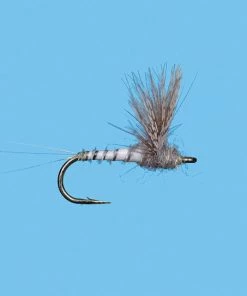 Flies Solitude Cdc Bwo Comparadun - Gray (D164) 6-Pack