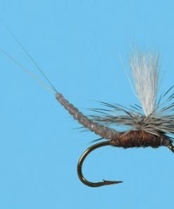 Flies Solitude Parachute Ext Body Callibaetis (Pd115ex) 6-Pack