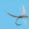 Flies Solitude Blue Wing Olive – Ext Dun (D070d) 6-Pack