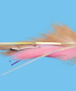 Solitude Dali Lama (St0275) 6-Pack