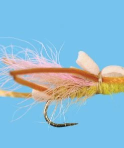 Solitude Yellow Sallie - Larimer'S (D560) 6-Pack