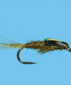 Solitude Split Case Bwo (N280) 6-Pack