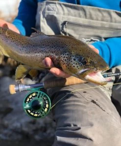 Cheeky Launch Fly Reel