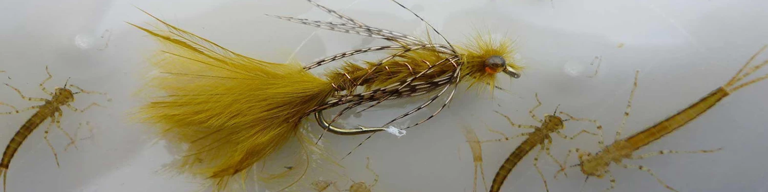 Stillwater Fly Shop Sales -Stillwater Fly Shop Sales banner